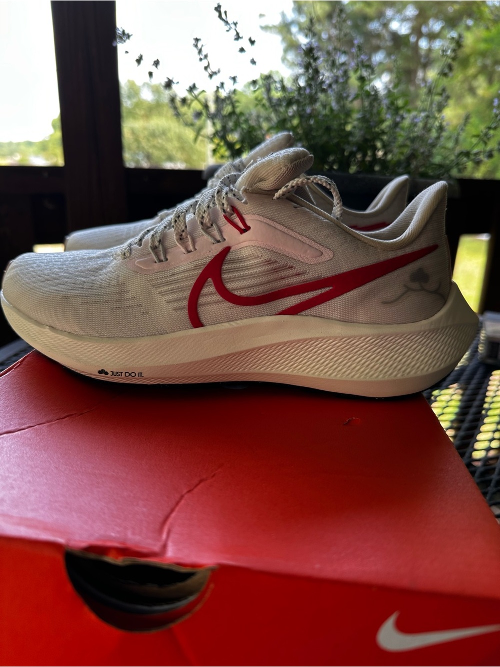 Nike Air Zoom women 6